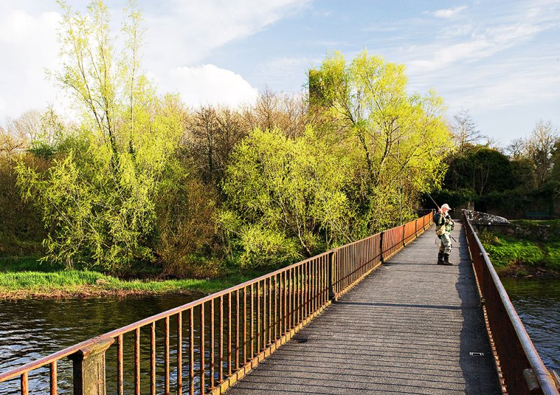 Black Bridge, Spring Green