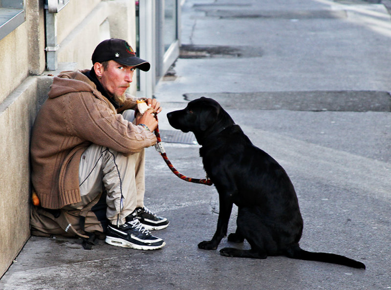 Man's Best Friend