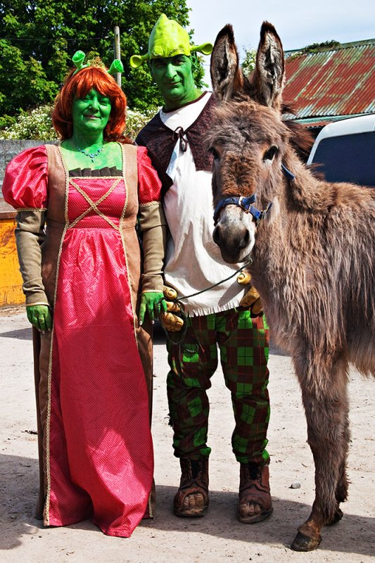Shrek, Fiona and Donkey