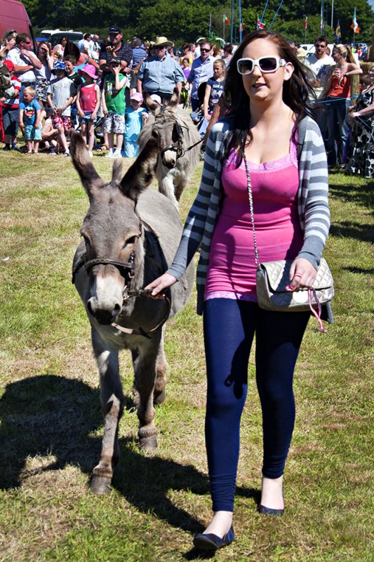 Donkey Parade