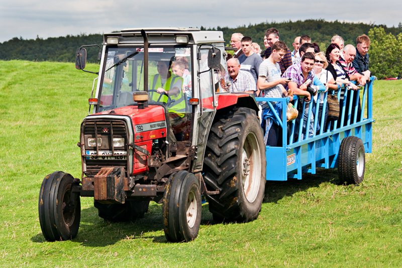 Fun on the Farm