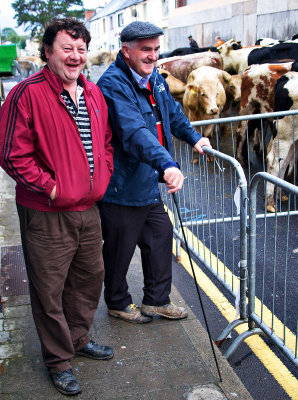 Killorglin Cattle Fair