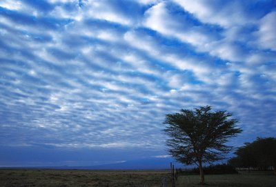 Amboseli Sky