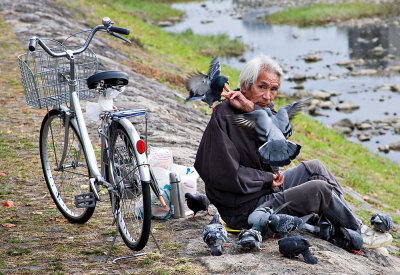 Pigeon Man