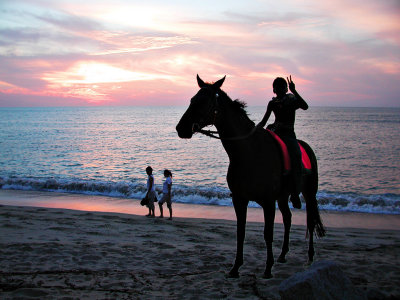 16-May ... Beach Horseman