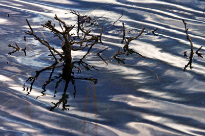 Burren Reflection