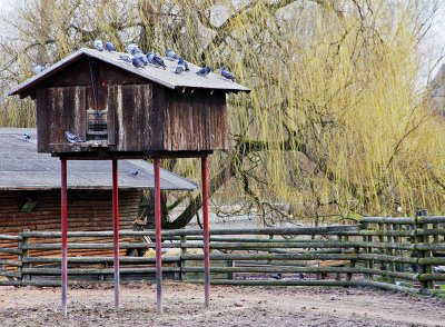 Pigeon House