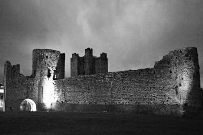 Trim Castle