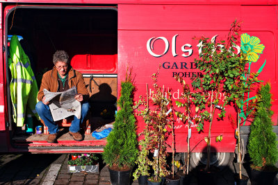 Market Gardener