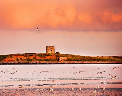 Martello Tower 5