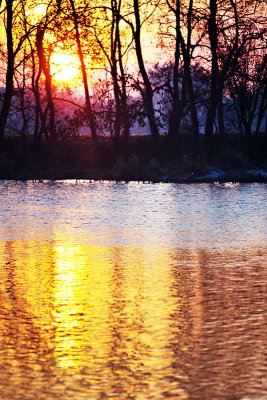 Golden Hour