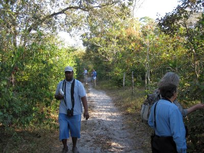 Birding in the Pine savanna