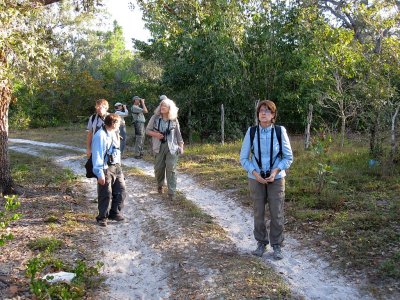 Birding in the Pine savanna2