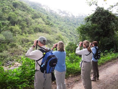 Black Rock Birding3