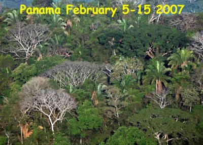 Panama February 5-15 2007
