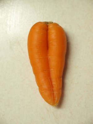 Vegetable nudes #1