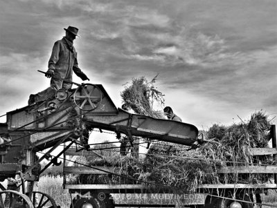 Threshing 2708BW