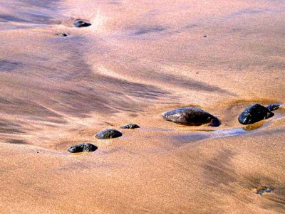 Natural abstract 32779