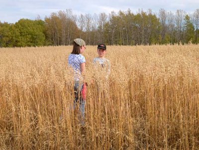Oats 2724