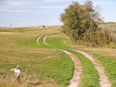 Winding tracks