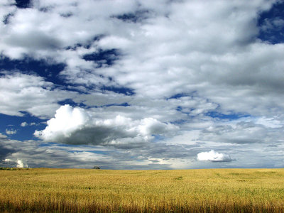 Skyscape #22