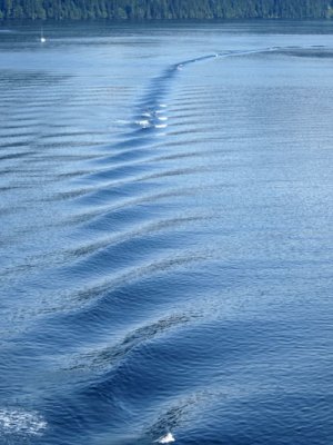 Wake