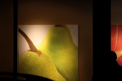 Shades of Pear