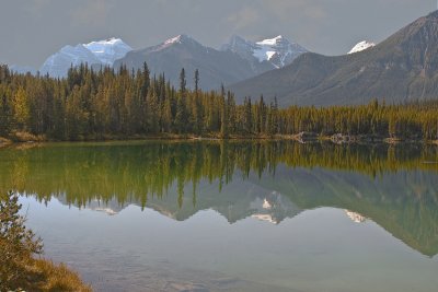  alberta  03.jpg