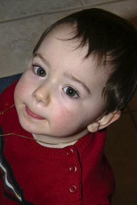 2006  03.jpg