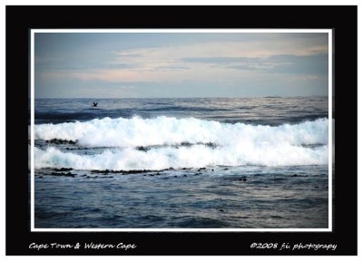 DSC_0261b.jpg