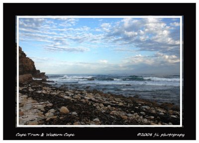 DSC_0262b.jpg