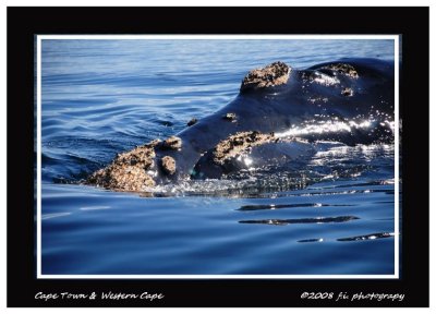 DSC_0280b.jpg