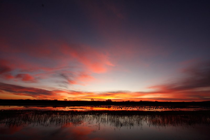 Bosque del Apache sunrise
