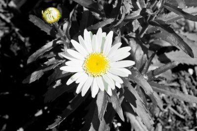 _B6N5807-as-Smart-Object-1.jpg