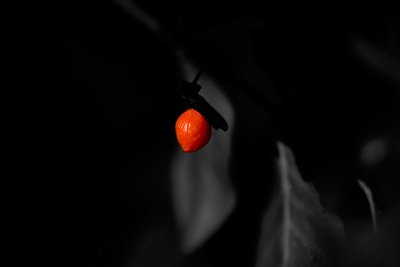 _B6N9206.jpg