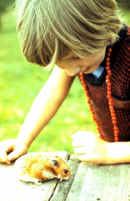 1978-19.jpg