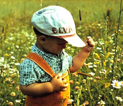 1978-1.jpg