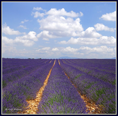 FRANCE - PROVENCE