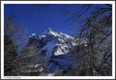 SWITZERLAND  - BERNESE OBERLAND - GRINDELWALD