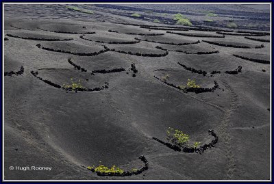 SPAIN - ISLAND OF LANZAROTE - LA GERIA