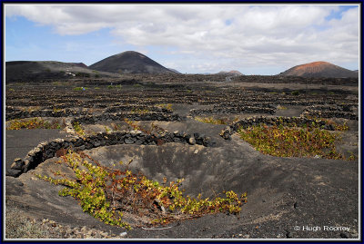 SPAIN - ISLAND OF LANZAROTE - LA GERIA