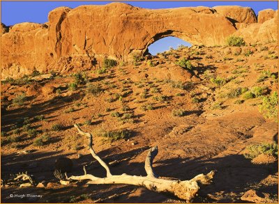 USA - UTAH - ARCHES NATIONAL PARK