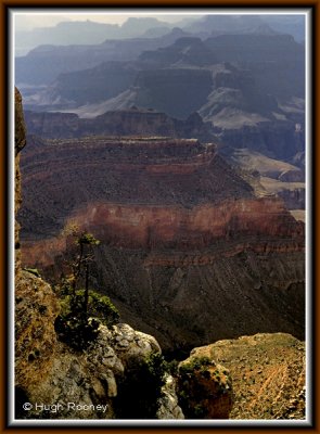  USA - GRAND CANYON 