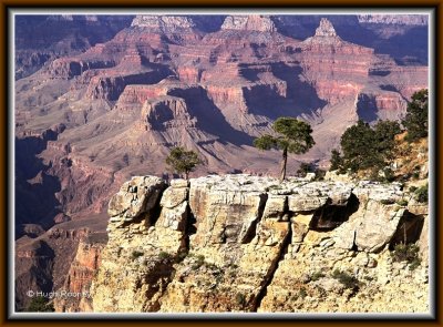  USA - GRAND CANYON 