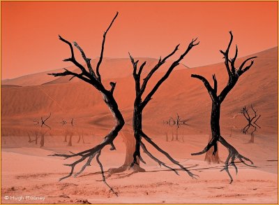 NAMIBIA - DEAD VLEI