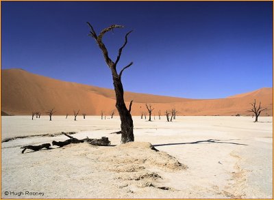NAMIBIA - DEADVLEI  