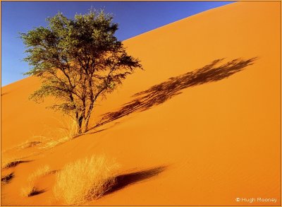 NAMIBIA - SOSSUSVLEI