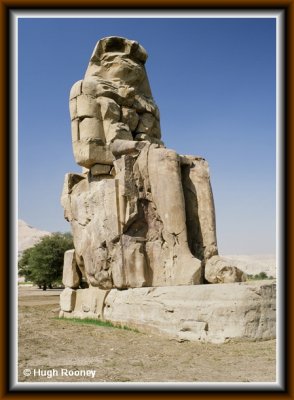 EGYPT - LUXOR - THE WEST BANK - COLOSSI OF MEMNON