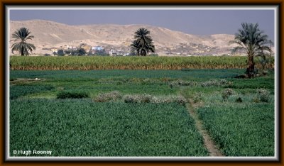 EGYPT - LUXOR - WEST BANK