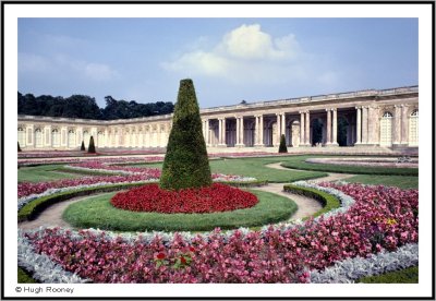52116 - FRANCE - VERSAILLES PALACE - THE GARDENS AT THE GRAND TRIANON